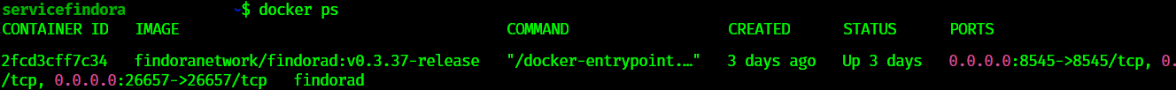 The container named findorad running